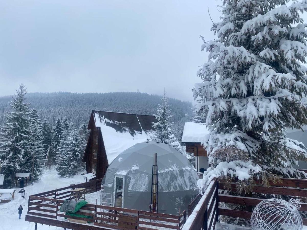 Karpatski Dzherela Jaremče Esterno foto