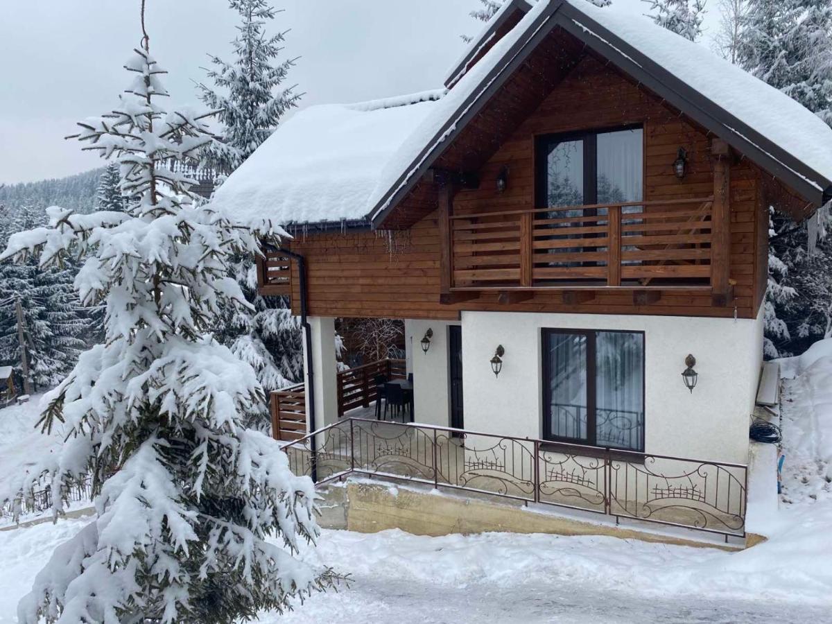 Karpatski Dzherela Jaremče Esterno foto