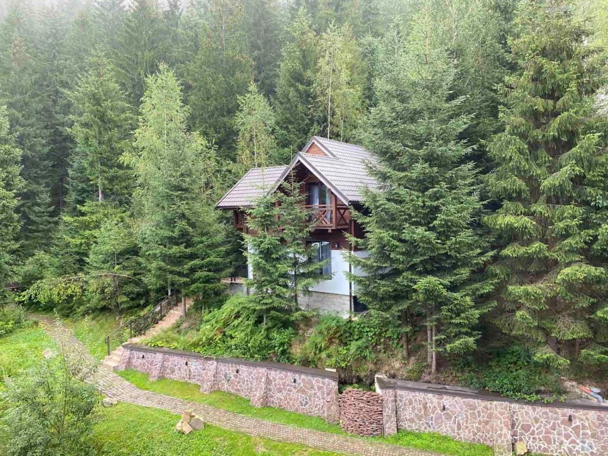 Karpatski Dzherela Jaremče Esterno foto