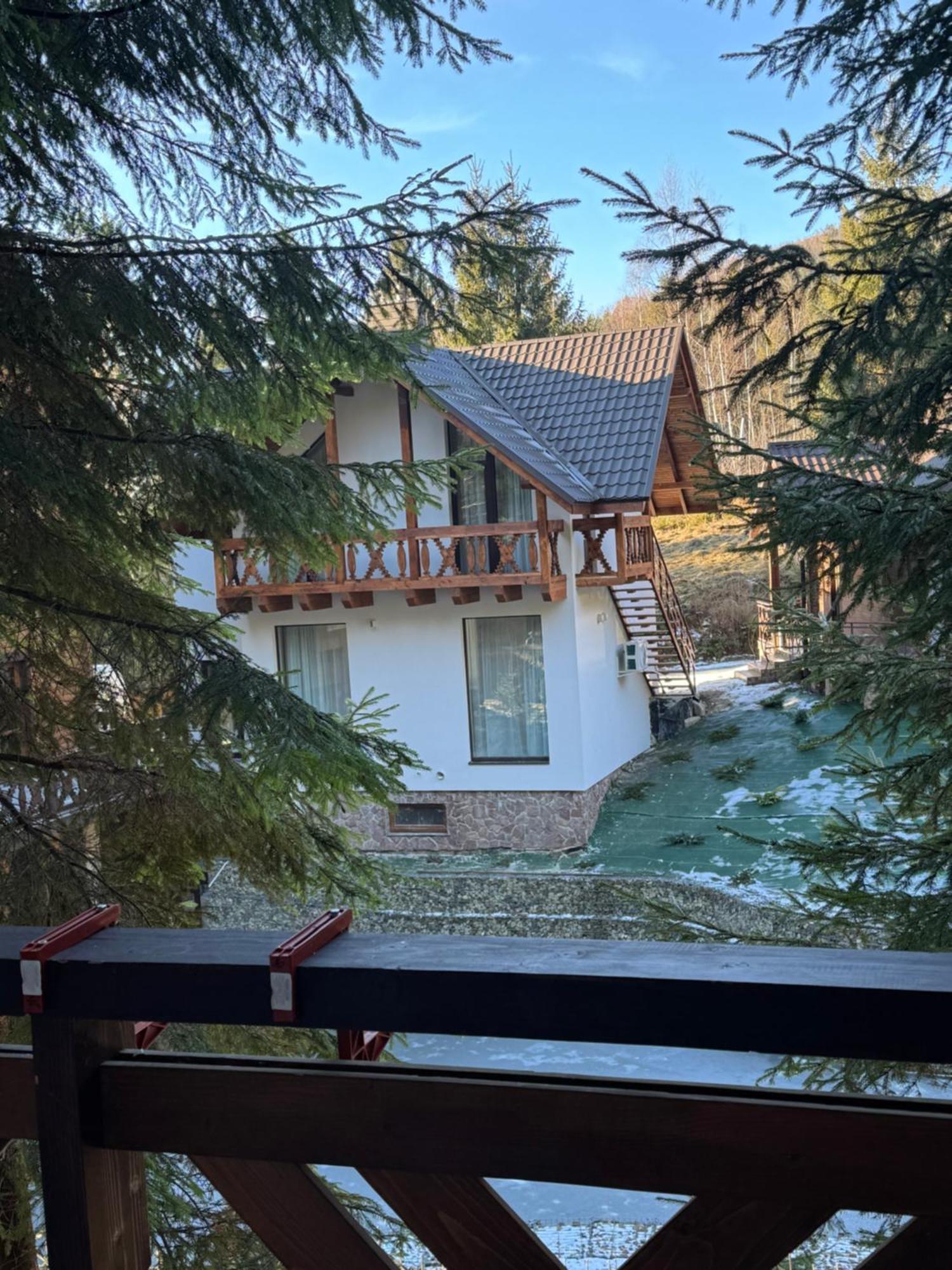 Karpatski Dzherela Jaremče Esterno foto