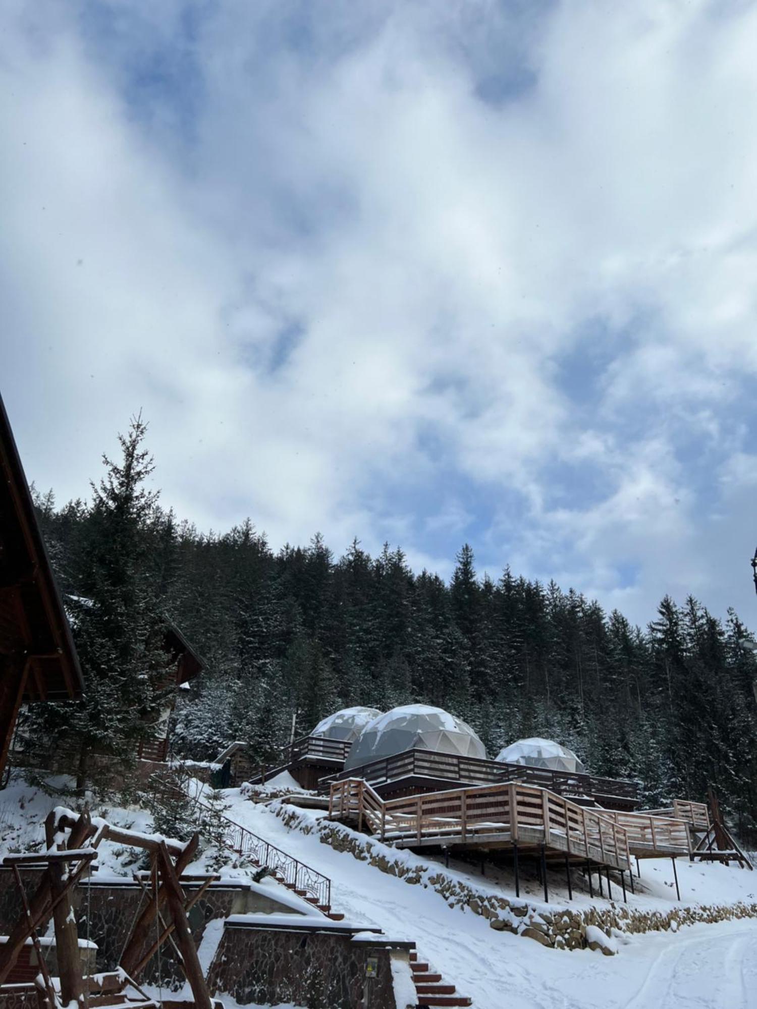 Karpatski Dzherela Jaremče Esterno foto