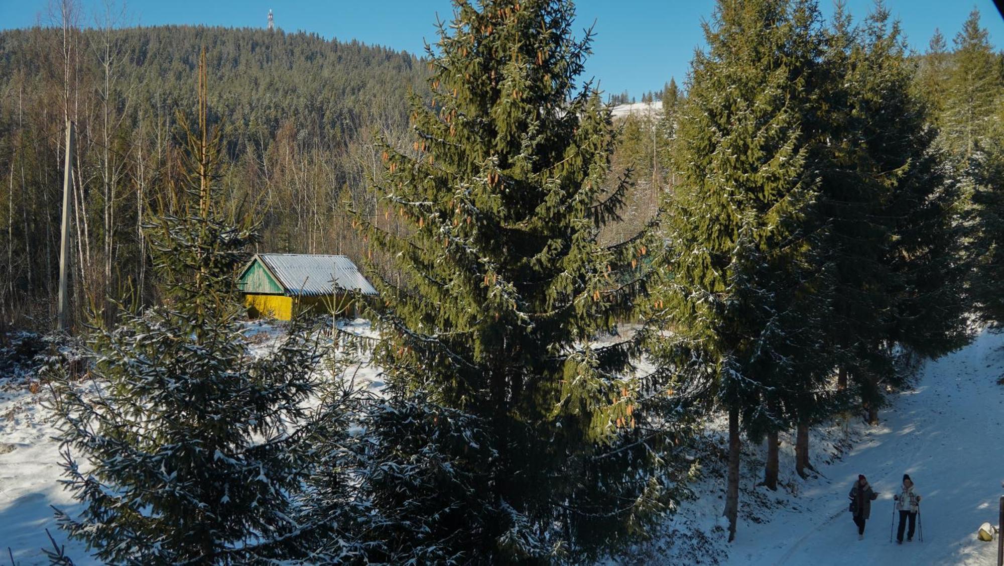 Karpatski Dzherela Jaremče Esterno foto