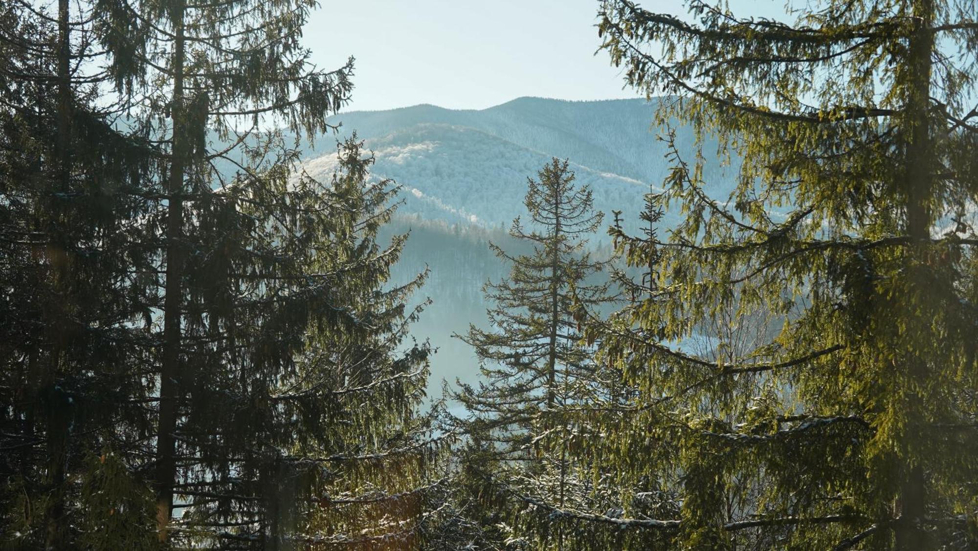 Karpatski Dzherela Jaremče Esterno foto